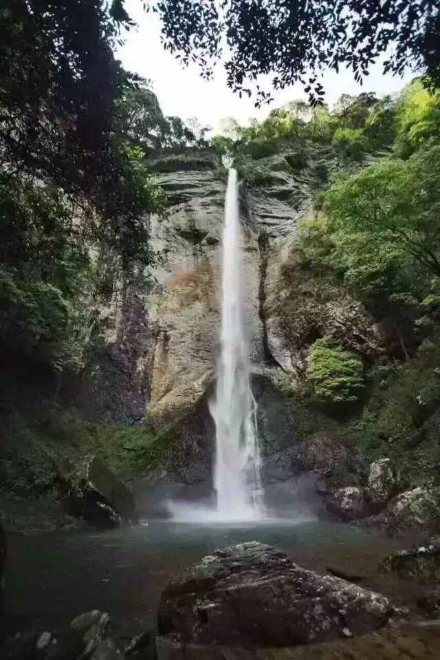 冲浪女孩逃脱